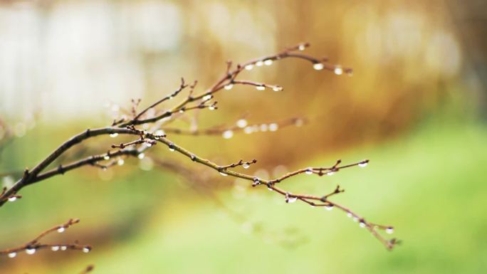 冬雨冰锥寒冷的冬季