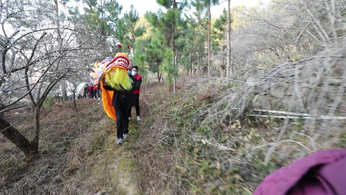 祠堂 舞狮 四合院 老家祖屋 非遗文化