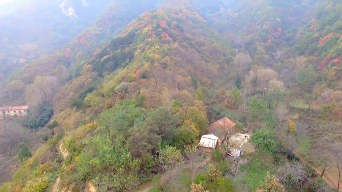 群山落日 溪水瀑布  壮丽山河 珍稀动物