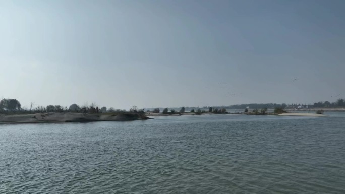 航拍襄阳汉江湿地野鸭候鸟群河流自然风光