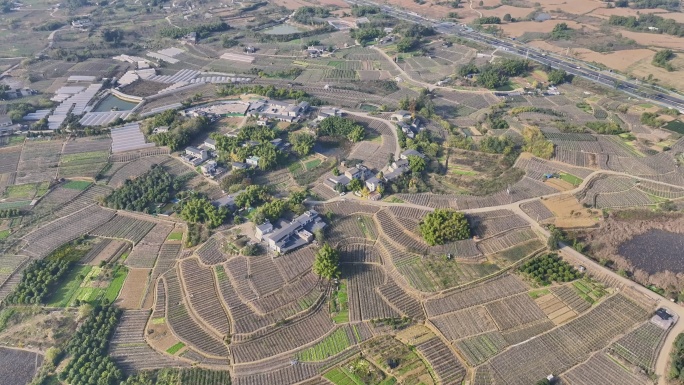 成都龙泉梦想大地农业景观