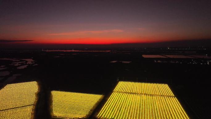 火龙果种植基地夜间灯光照明航拍