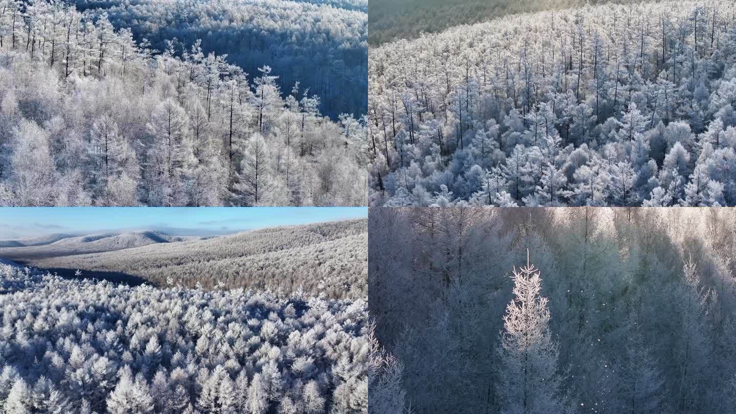 大兴安岭冬季森林雪景雾凇自然航拍