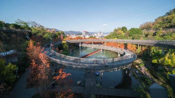 福建福州福道水杉人流延时空镜