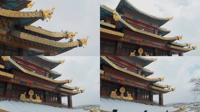 云南景点香格里拉冬季雪景藏式寺庙金顶