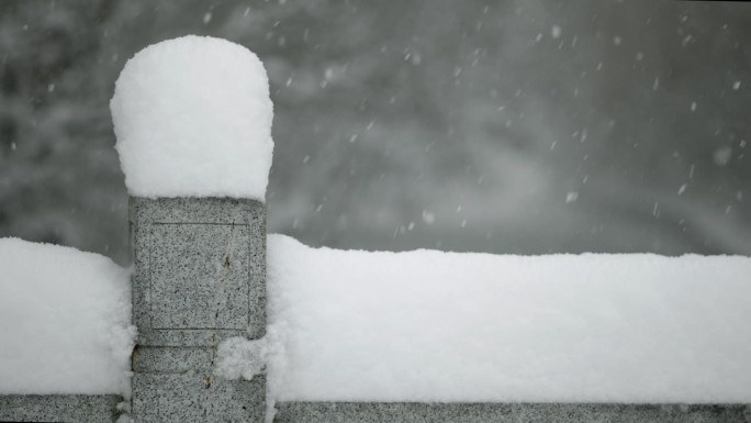 冬天下着大雪