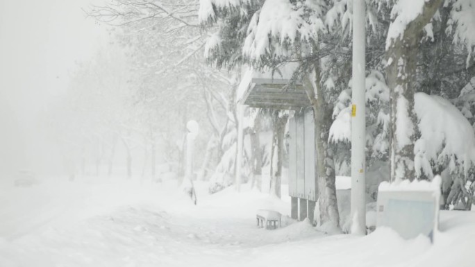 冬天下着大雪