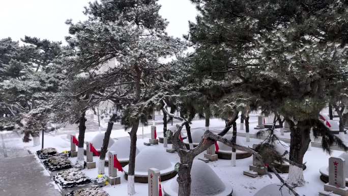 沈阳抗美援朝烈士陵园冬季雪景