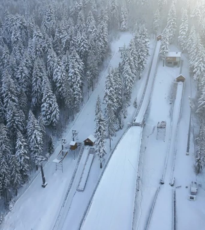 滑雪飞山在山上的冬季森林，空中，波兰