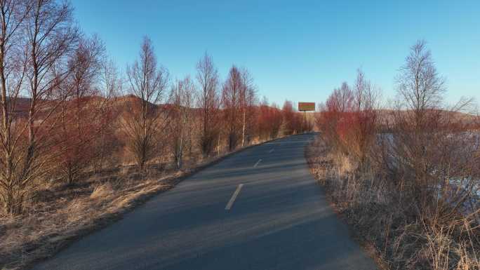 大兴安岭扎敦河湿地道路红柳