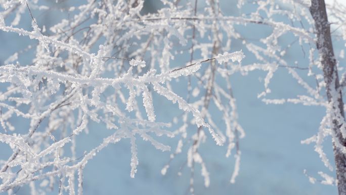 冬天雪地雾凇唯美空镜