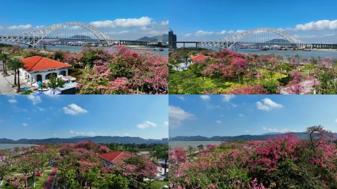 【4K超清】横琴花海3号驿站横琴二桥