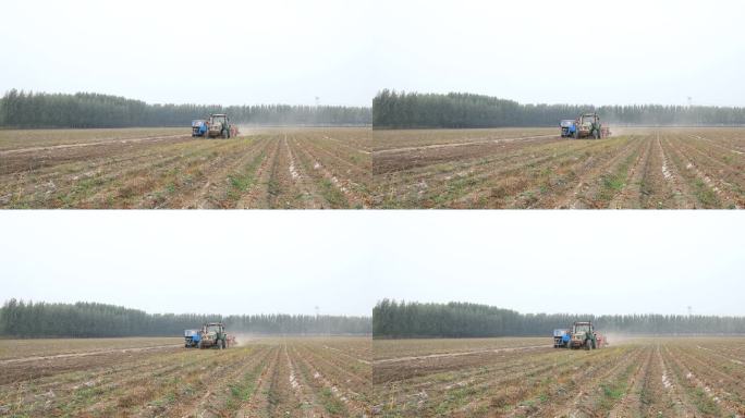 中国北方，农民在田地里使用农业机械收割芋头