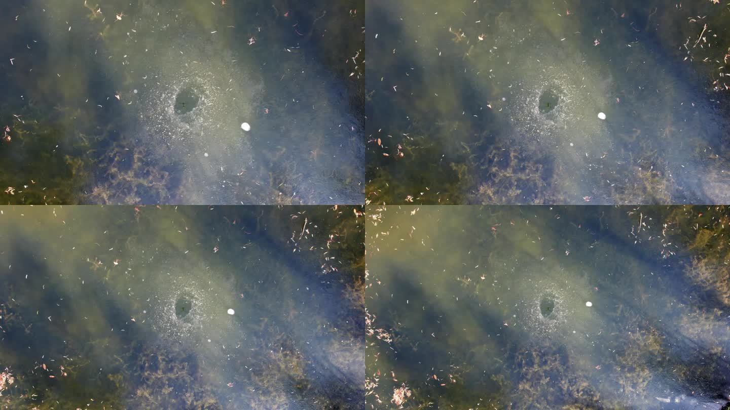在冰冻的满是水草的河流上俯瞰冰洞，4k实时画面，上升效果。