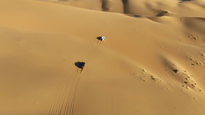 航拍新疆塔克拉玛干沙漠沙丘上自驾的汽车