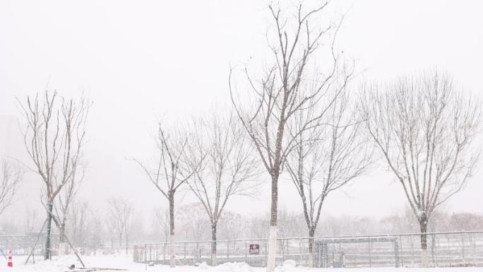 冬季暴风雪天气大雪纷飞