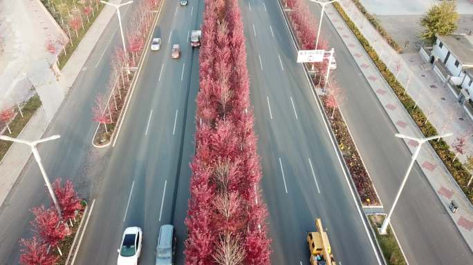 秦皇岛市抚宁区全景枫叶大道