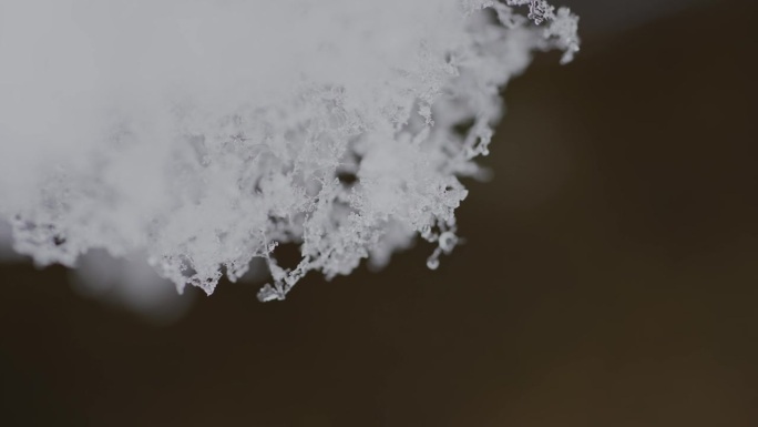 微距摄影:雪花融化的快进镜头