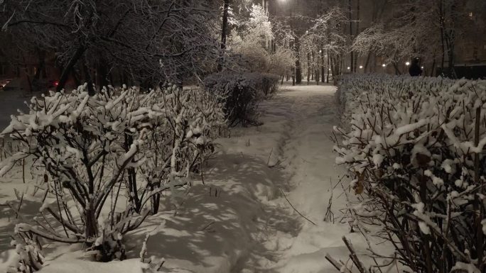 街景景观降雪夜暮