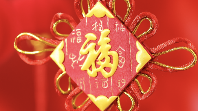 新年 春节 过年  饺子