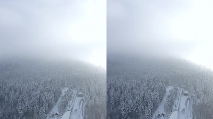 滑雪飞山在山上的冬季森林，空中，波兰