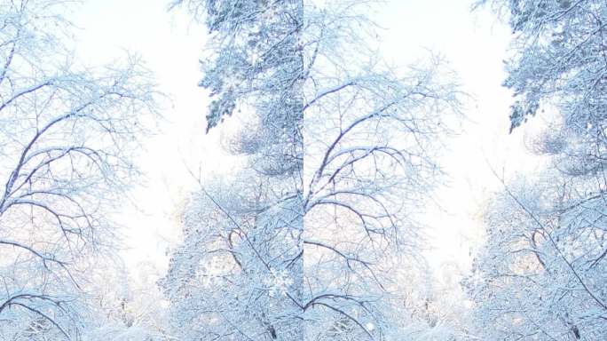 雪中小屋