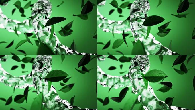 植物叶子 水螺旋 三维动画广告素材
