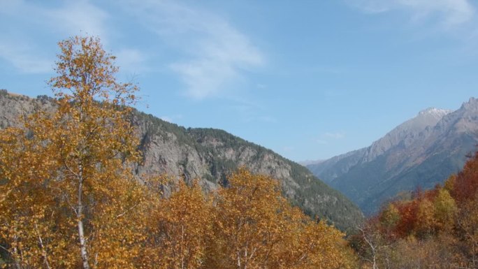 以山为背景的秋树美景。有创造力。山谷里的野生动物和五颜六色的秋天的树木。秋天，以落基山脉为背景的五颜