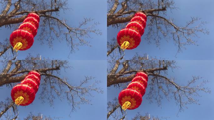春节 挂红灯笼