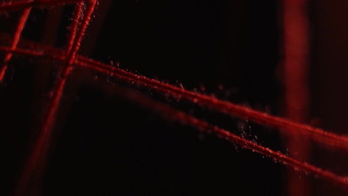 在黑色的背景上，红色的线在不同的方向和平面上伸展。抽象