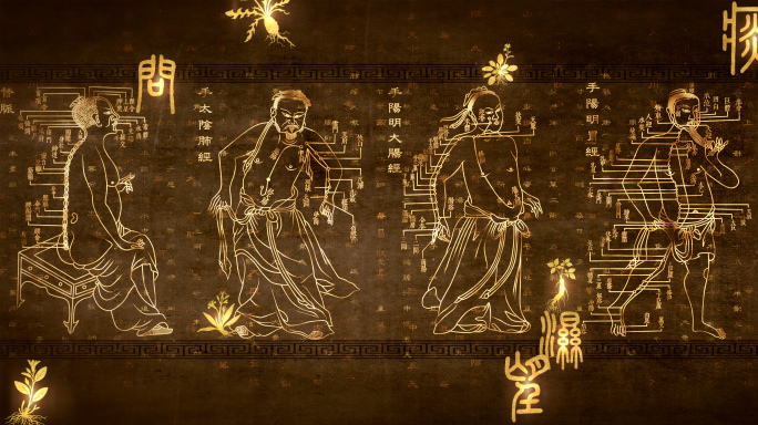 4K中医文化十四经脉经络穴位线描视频素材