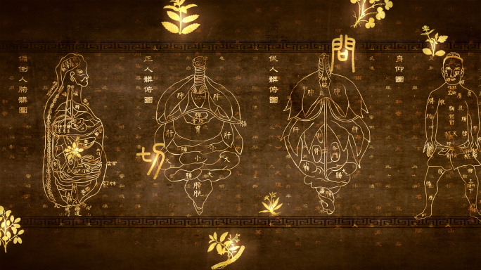 4K中医经穴指南针灸经脉穴位线描视频素材