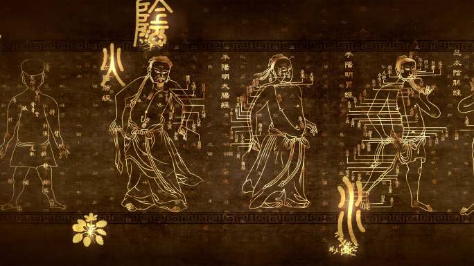 4K中医经穴指南针灸经脉穴位线描视频素材