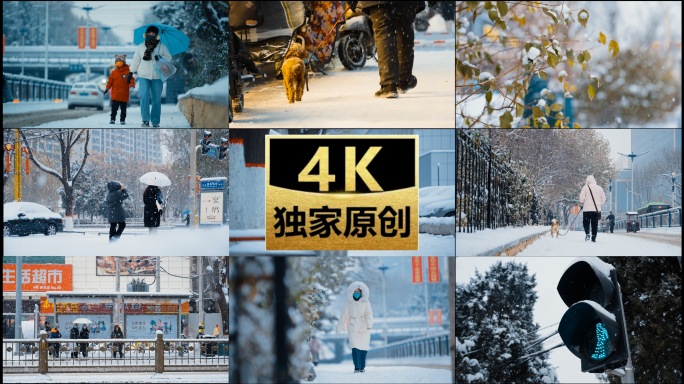 城市下雪人群人流升格慢放