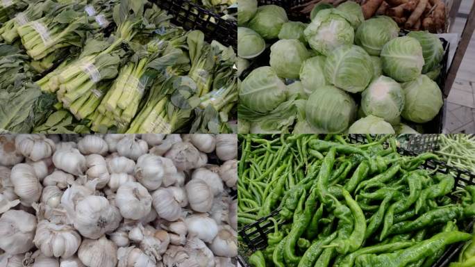 各类蔬菜供应超市蔬菜人民菜篮子菜篮子工程