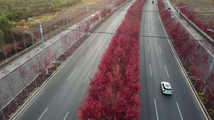 秦皇岛市抚宁区全景枫叶大道