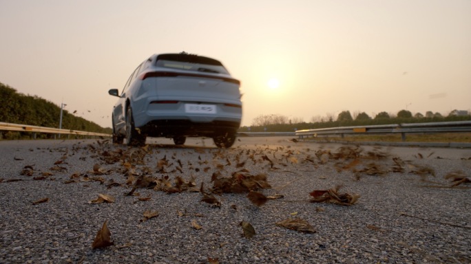 清晨朝阳新能源汽车在公路上疾驰碾过树叶
