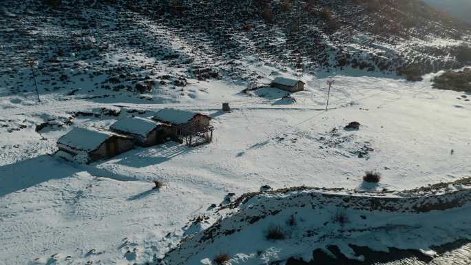 西藏雪地牧场低矮房屋