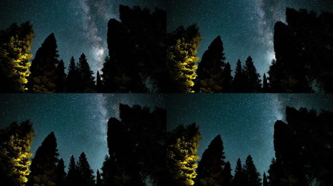 红杉国家公园英仙座流星雨和银河系在南天空倾斜内华达山脉美国加利福尼亚州