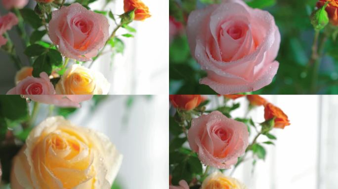 【4K原创】实拍卧室鲜花房间鲜花玫瑰花