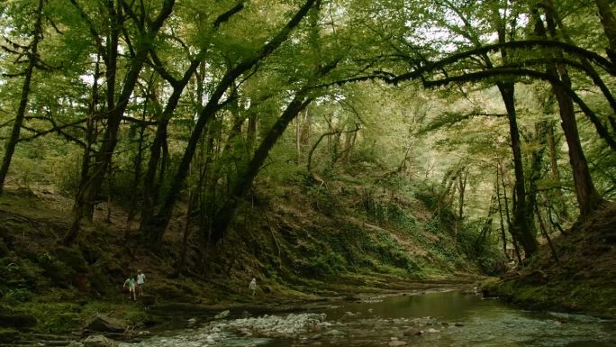 山间涌流。有创造力。河水从高大的绿树上流过，构成了河流，可以看到走路旅行的人。高品质4k画面