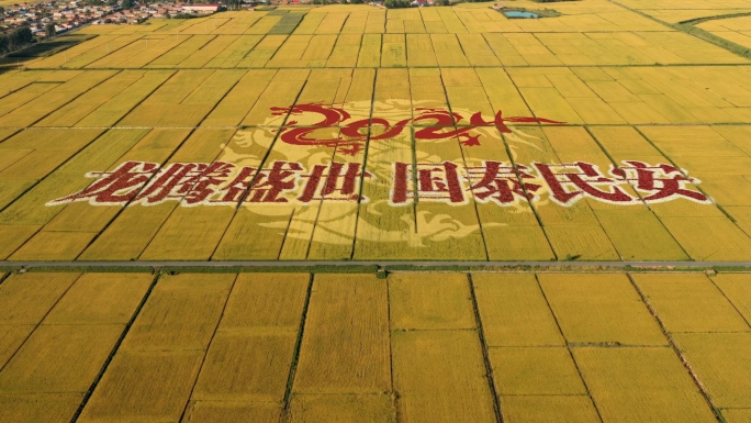 龙年丰收龙年祝福稻田画