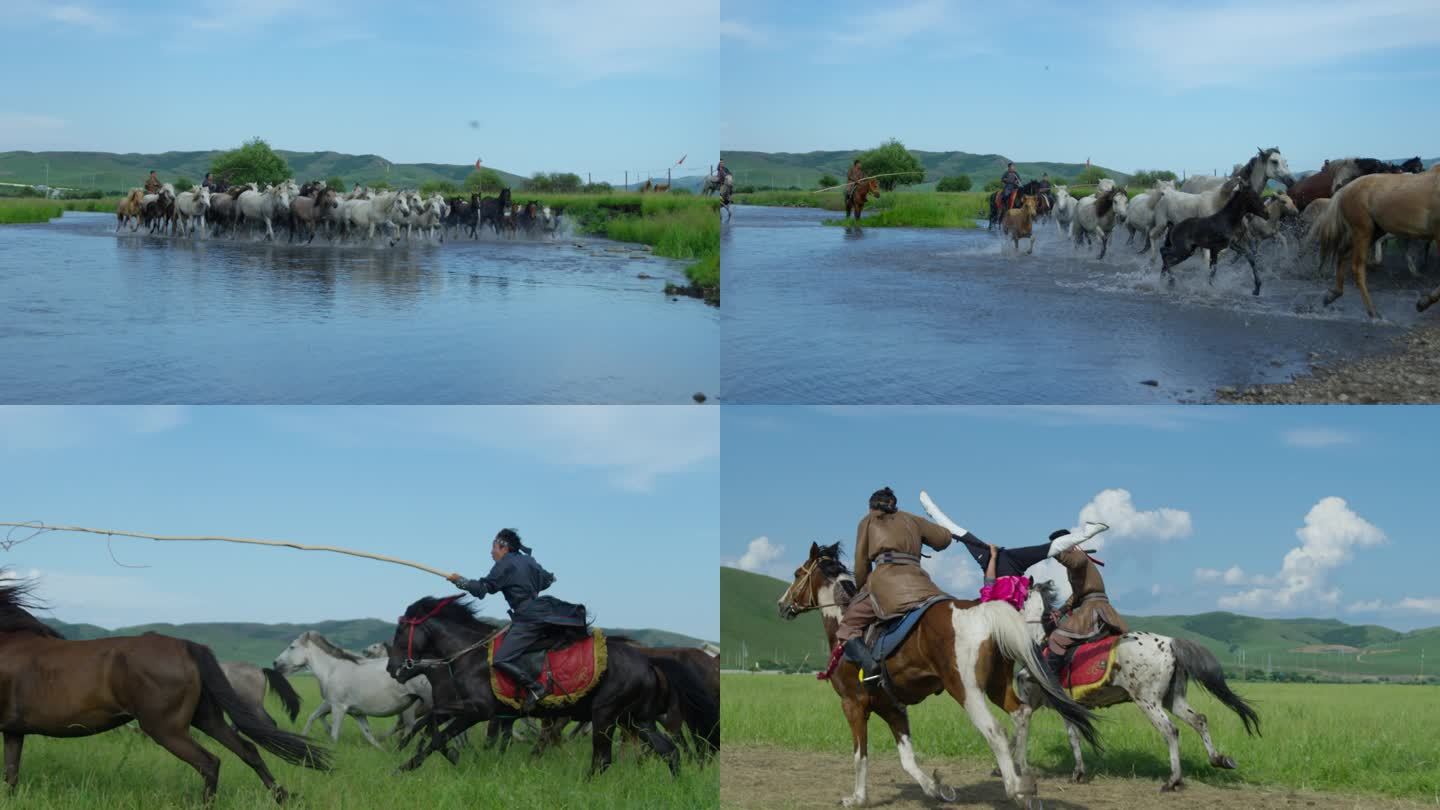 马在水里奔跑