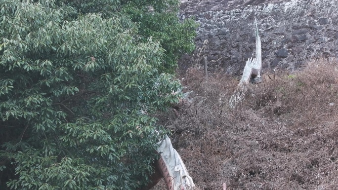 台州临海接引寺