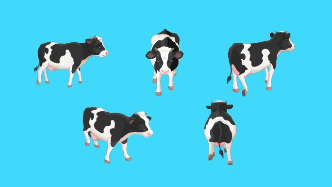 5个角度的奶牛动画素材 带通道 带工程