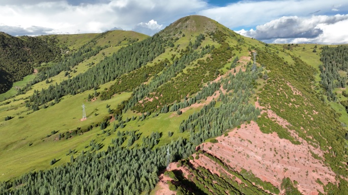 拉乌山的山谷森林