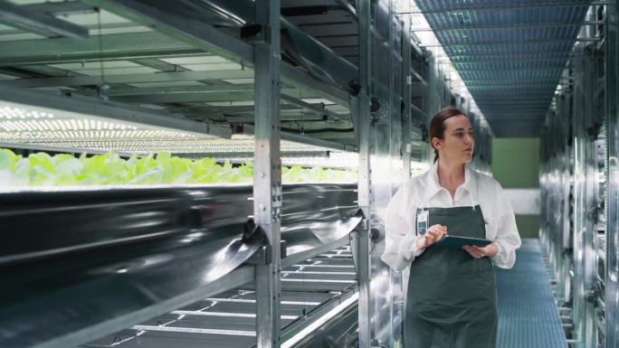 生物学家在天然生态植物旁边的垂直农场工作。女性农业工程师使用平板电脑，整理和分析作物信息前分发