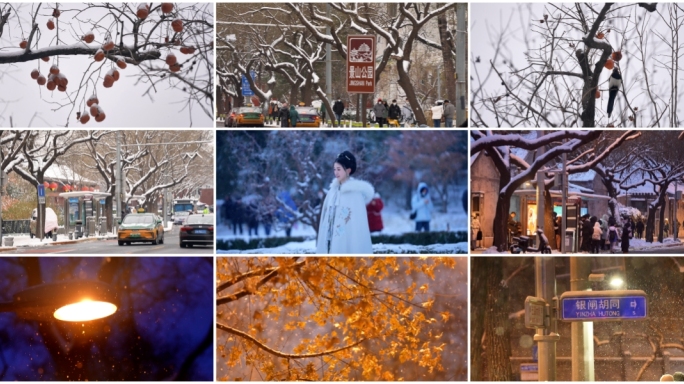 城市冬天白天夜晚雪景大合集