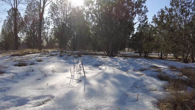 雪后初晴冬天暖阳冬天雪景冬天北方白雪皑皑