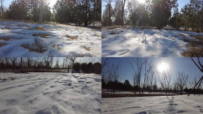 雪后初晴冬天暖阳冬天雪景冬天北方白雪皑皑